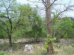 17433100_2121.JPG