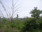 3772RIMG0076.JPG