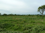 18667P1000505.JPG
