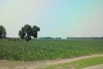 2024-08-05_14-31-45_D98A735B-0D8E-4A66-BDB4-C10FA55E7E38.jpeg