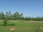 19471P1010318.JPG