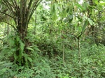 47835CIMG4172.JPG