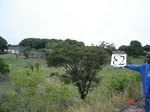 10875gt-082-wetland-valley-bottom-02.jpg