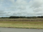 35866DSC02634.JPG