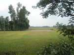 21802DSC08359.JPG