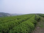 1201R0015050_small.jpg