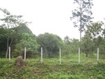 34415IMG_5396.JPG