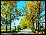 39643nEO_IMG_CIMG0400.jpg
