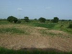 18878P1000720.JPG