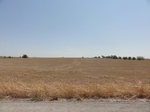35005DSC01907.JPG
