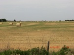 29809CIMG1200.JPG