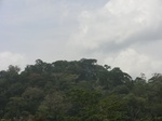 49459CIMG5796.JPG