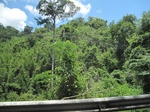 33497IMG_5740.JPG