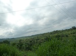 20425P1020282.JPG