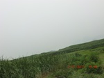 32681CIMG1810.JPG