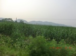 32895CIMG2034.JPG