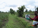 125600151c-irrigated-supplemental-tank-millet-doublecrop.gif