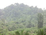 49036CIMG5373.JPG