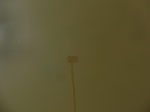 58475CIMG2925.JPG