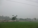 40099CIMG9165.JPG