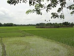 22013DSC00126.JPG
