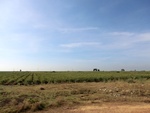 56117CIMG6818.JPG