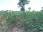 28073RIMG0128.JPG