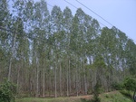 34640RIMG0107.JPG