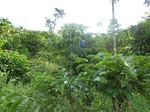 25173P1020013.JPG