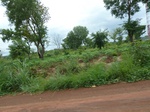 20994P1020864.JPG