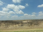 35441DSC02953.JPG