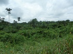25271P1020114.JPG