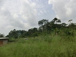 49666CIMG6003.JPG