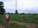 1045829-cropland-rainfed-abandoned-1yr-fallowb.gif
