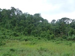 20263P1020118.JPG