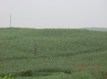 33179CIMG2417.JPG