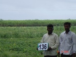 125000136b-irrigated-supplemental-major-lift-irrigation.gif