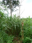 20046P1010897.JPG
