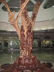 16496IMG_5282.JPG