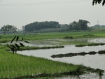 21732DSC00275.JPG