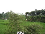 14750IMG_5142.JPG