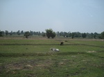 34513IMG_5496.JPG