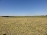 24716DSC01140.JPG