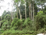 47588CIMG3925.JPG