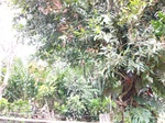5537100_0916.JPG