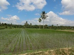 31183CIMG1045.JPG