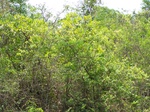 1726620042008(50).JPG