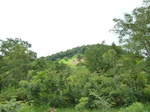 18786P1000624.JPG