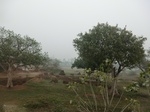 40201CIMG9098.JPG