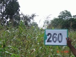 129320260c-rainfed-agriculture-maize-doublecrop-wheat.gif